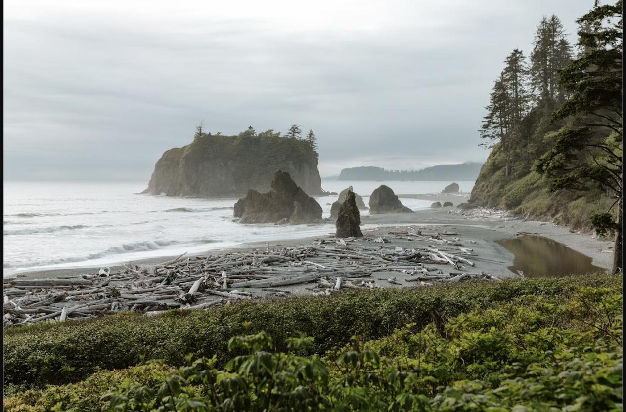 Sea stacks and driftwood at Ruby Beach, Olympic National Park